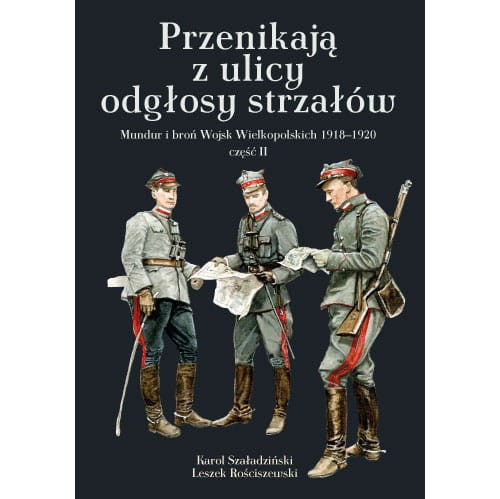 Przenikają z ulicy odgłosy strzałów. Mundur i broń Wojsk Wielkopolskich 1918–1920. Część II